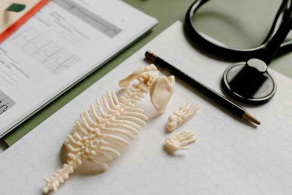 Can Embracing Plant-Based Diets Dramatically Reduce Your Type 2 Diabetes Risk?